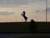 DIA Blue Horse