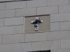 Rose and Cross Freemasonry