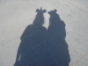 Disney's Shadow