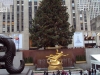 rockefeller-center_234