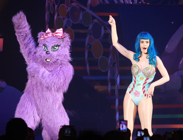 katy perry kitty purry